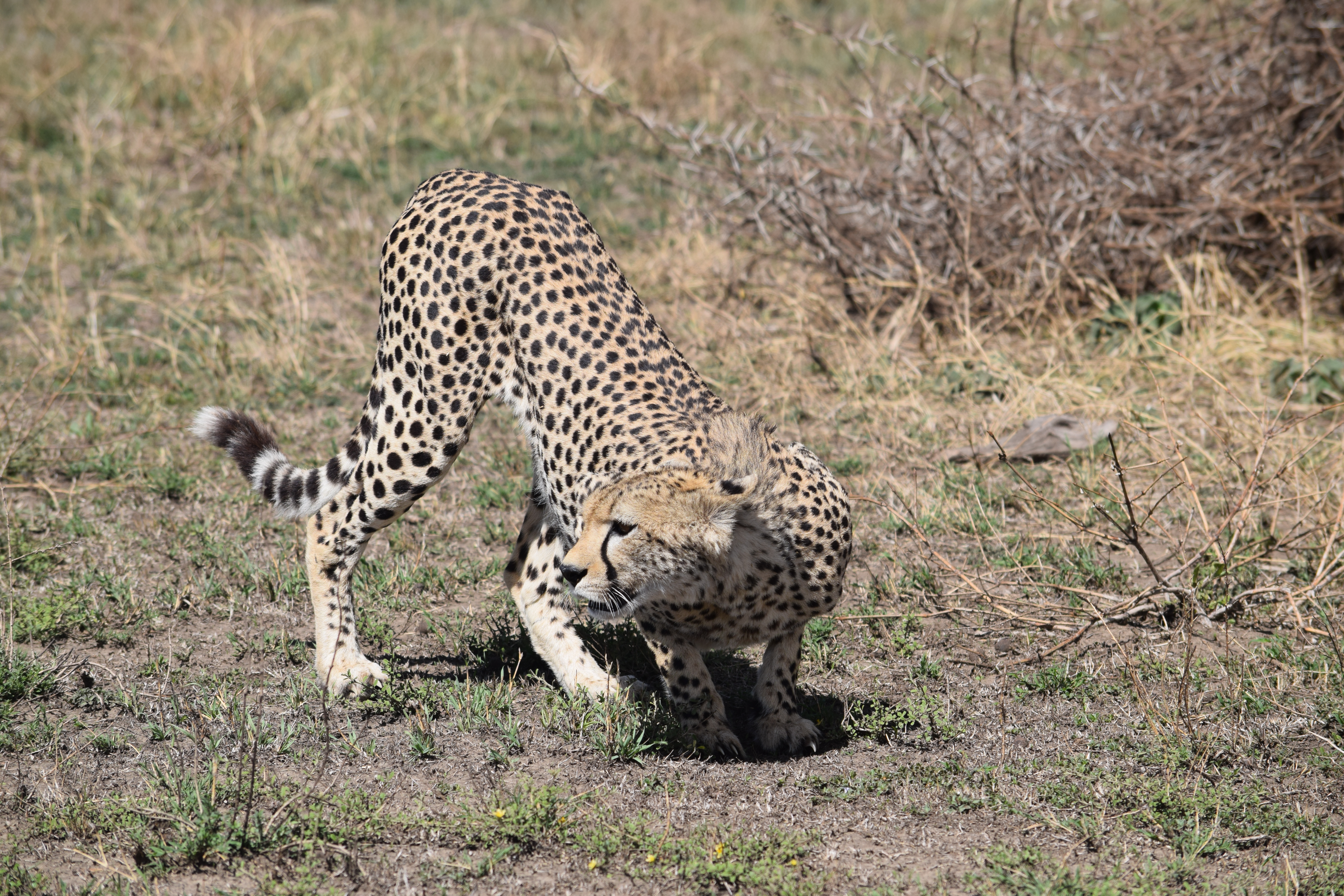 Tanzania, 2021